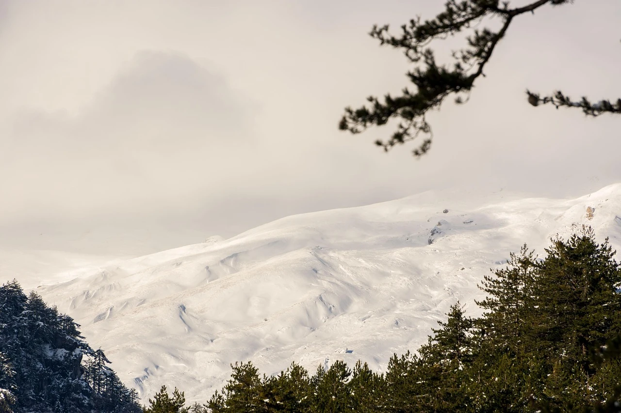 Niseko Village Winter Season