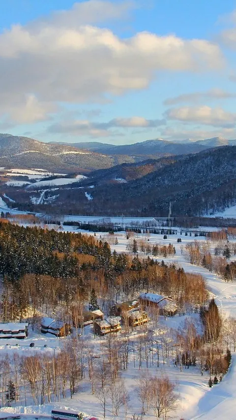 Niseko Village Winter Season Skiing