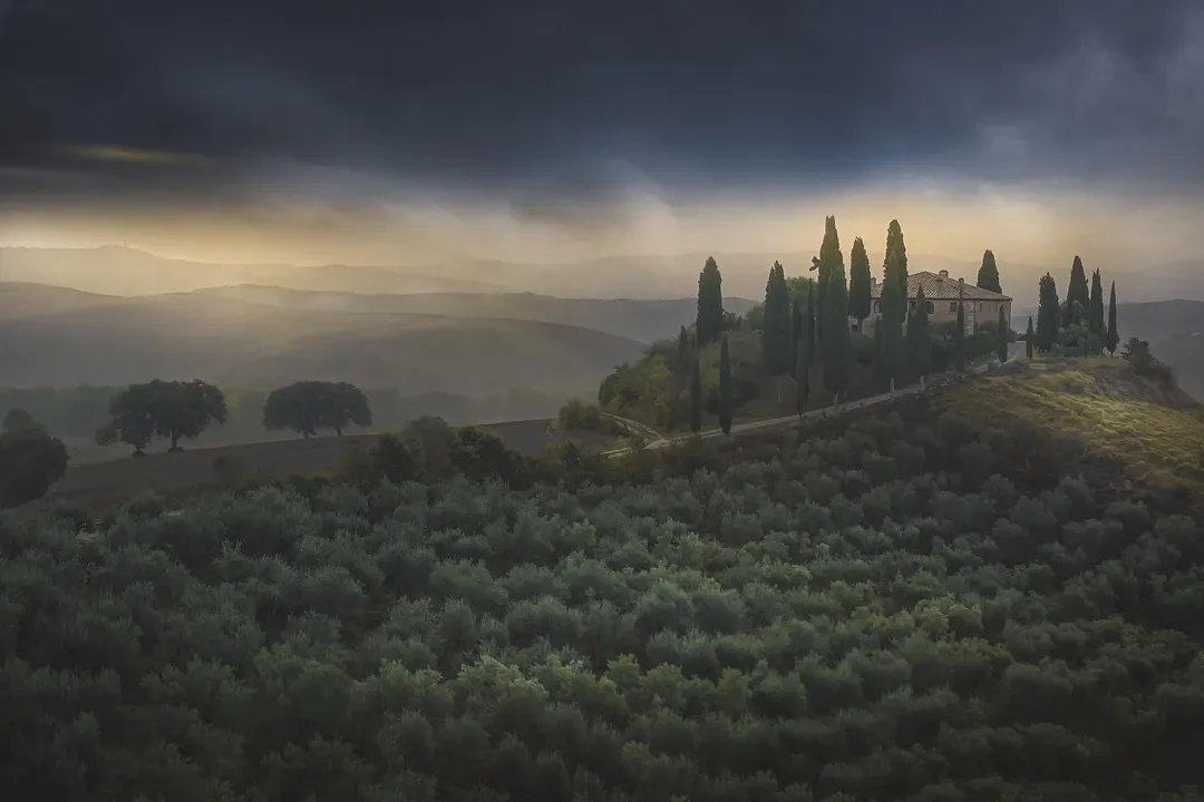 Loving We Like Tuscany Tours
