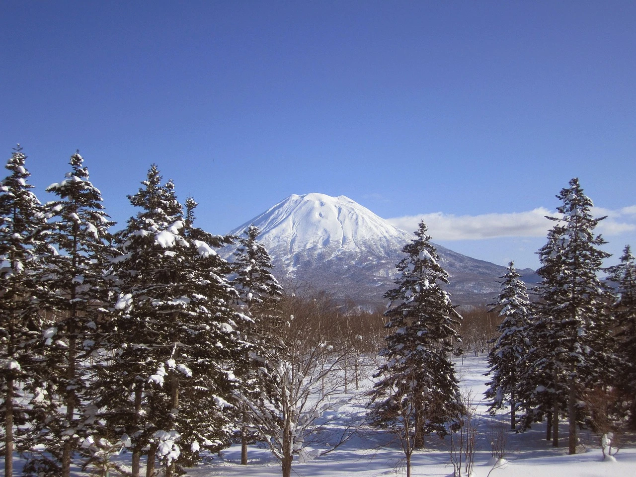 Niseko Village Winter Season